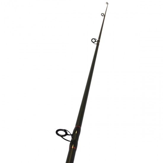 EUROSTAR D MAX FUEGOS CARP 3,90m 3,5lb 2 részes bojlis bot