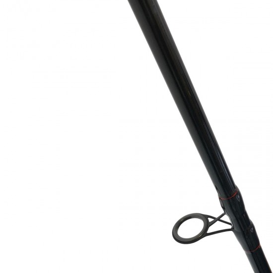 EUROSTAR D MAX FUEGOS CARP 3,90m 3,5lb 2 részes bojlis bot